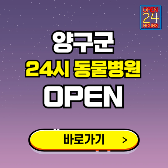 양구군 24시 동물병원 진료하는 곳 ❘ 설날 휴일 야간 심야 문여는곳 찾기 ❘ 응급진료