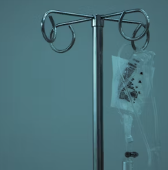 당귀 효능 부작용 뿌리 고르는법