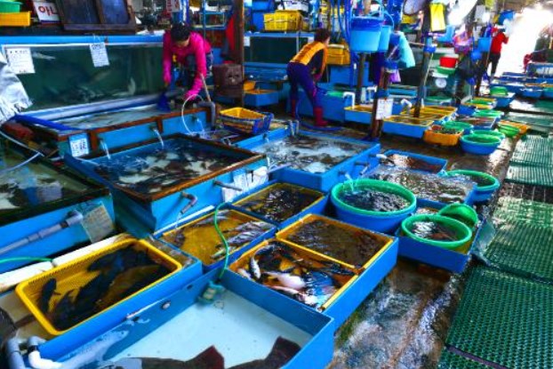 주문진-수산시장