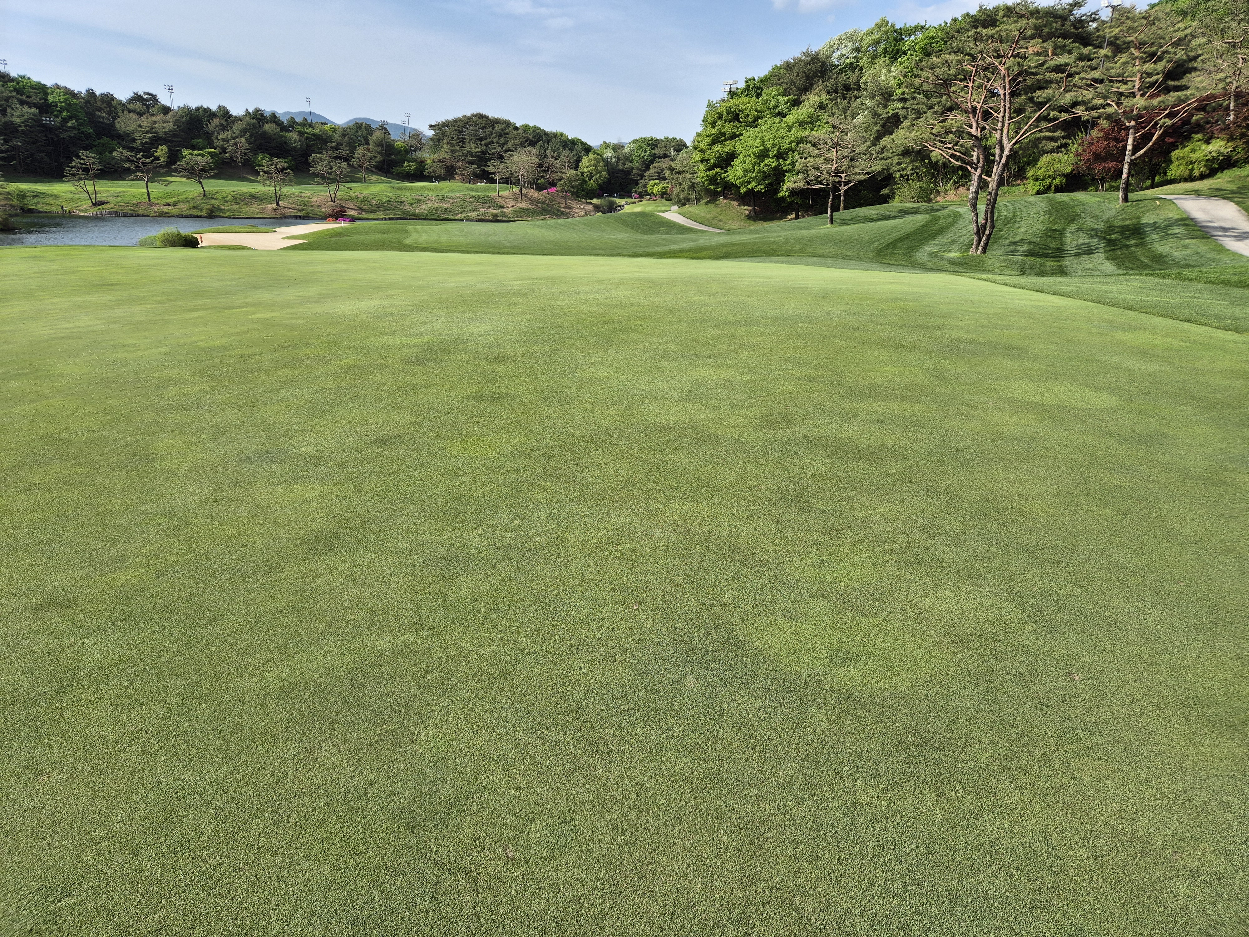 베어크리크cc 크리크코스