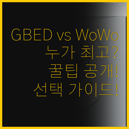 GBED와 WoWo 미니 세탁기 비교..