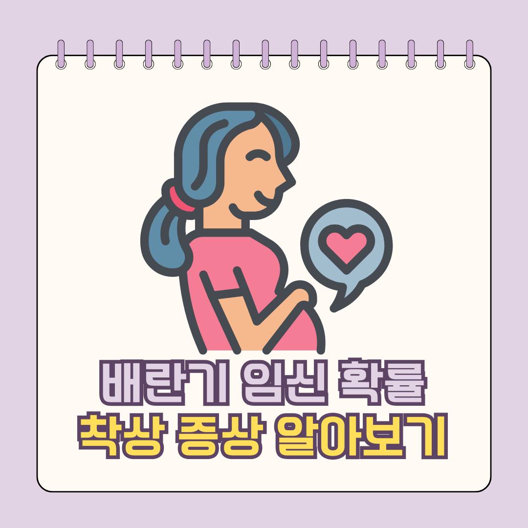 배란기 임신 확률 착상 증상
