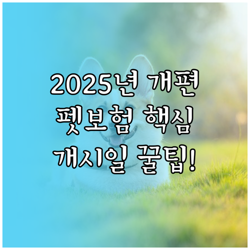 2025년 개편 펫보험! 보장 개시일..