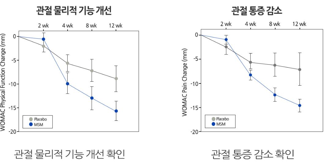 호관원-효과-효능