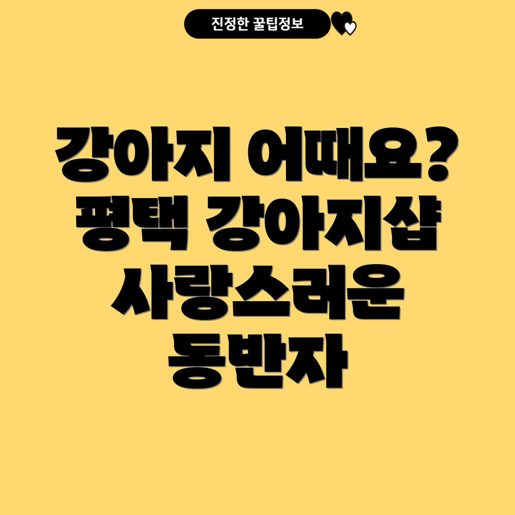 평택 강아지 분양