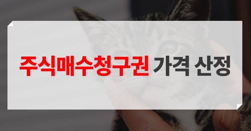 주식 매수 청구권 가격 산정 매수가격 산정 방법