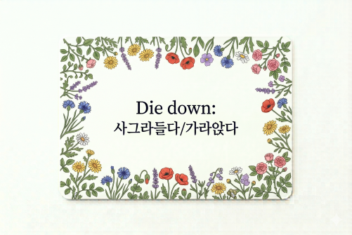 Die down 사그라들다