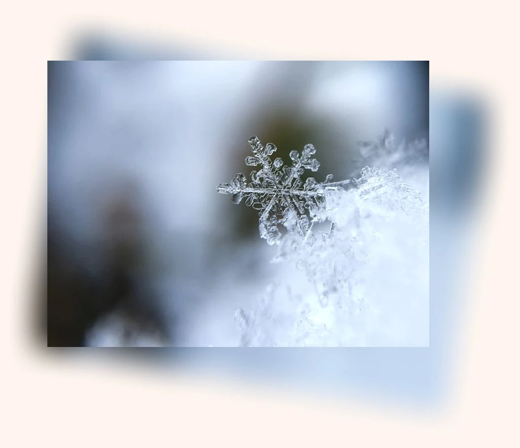 겨울유럽여행_3_subsection