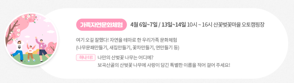 금산 보곡산골 산벚꽃 축제