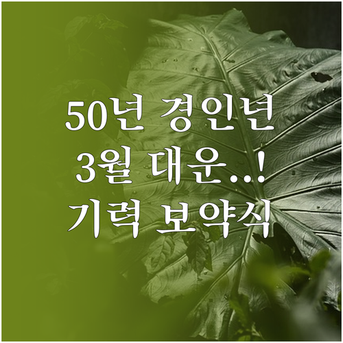 1950년생 경인년생 3월 운세 요약..