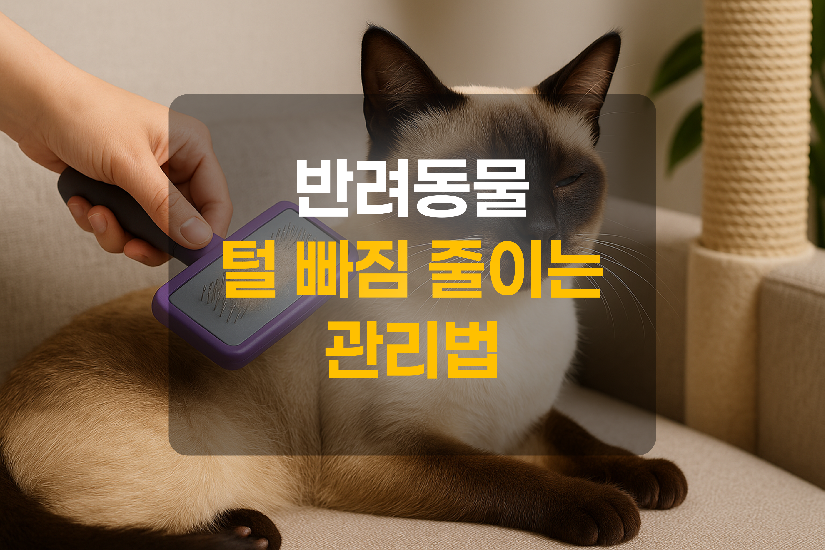 고양이 털을 빗겨주는 모습을 묘사한 그림