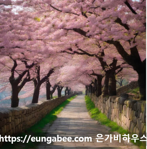 돌담길 벚꽃사진