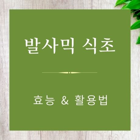 발사믹 식초 효능