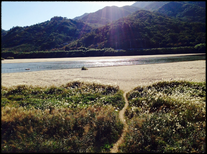 아이와 함께하는 하동 자연체험 (차밭, 섬진강, 가족코스)