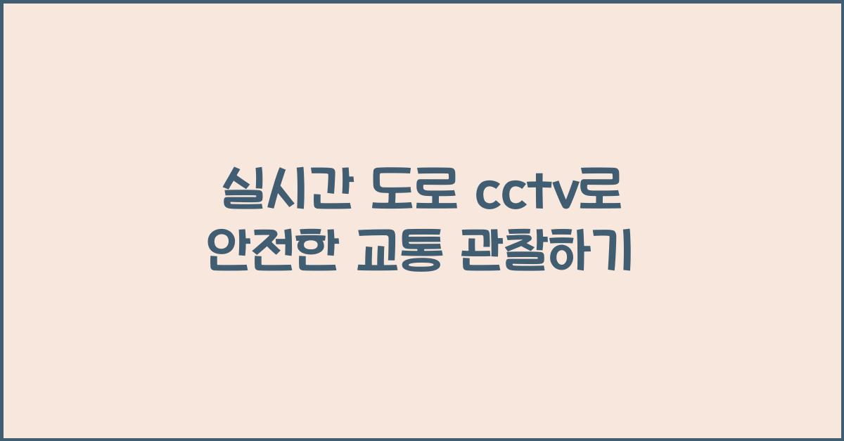 실시간 도로 cctv