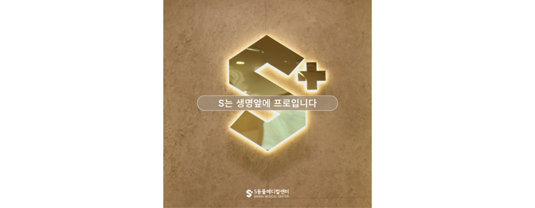 울산 남구 동물병원