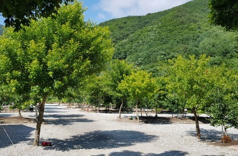 6시 내고향 무주 카페 캠핑 체험 무주눈꽃덕유캠프