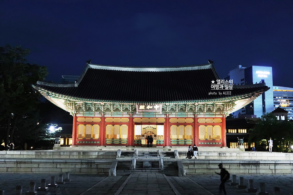 덕수궁 야간개장 방문후기 야간 덕수궁 야간투어 궁궐야행