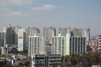 새집증후군 완화 식물선택 공기정화기능 배치 환기관리 가이드_12