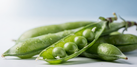 고지혈증에 좋은 음식