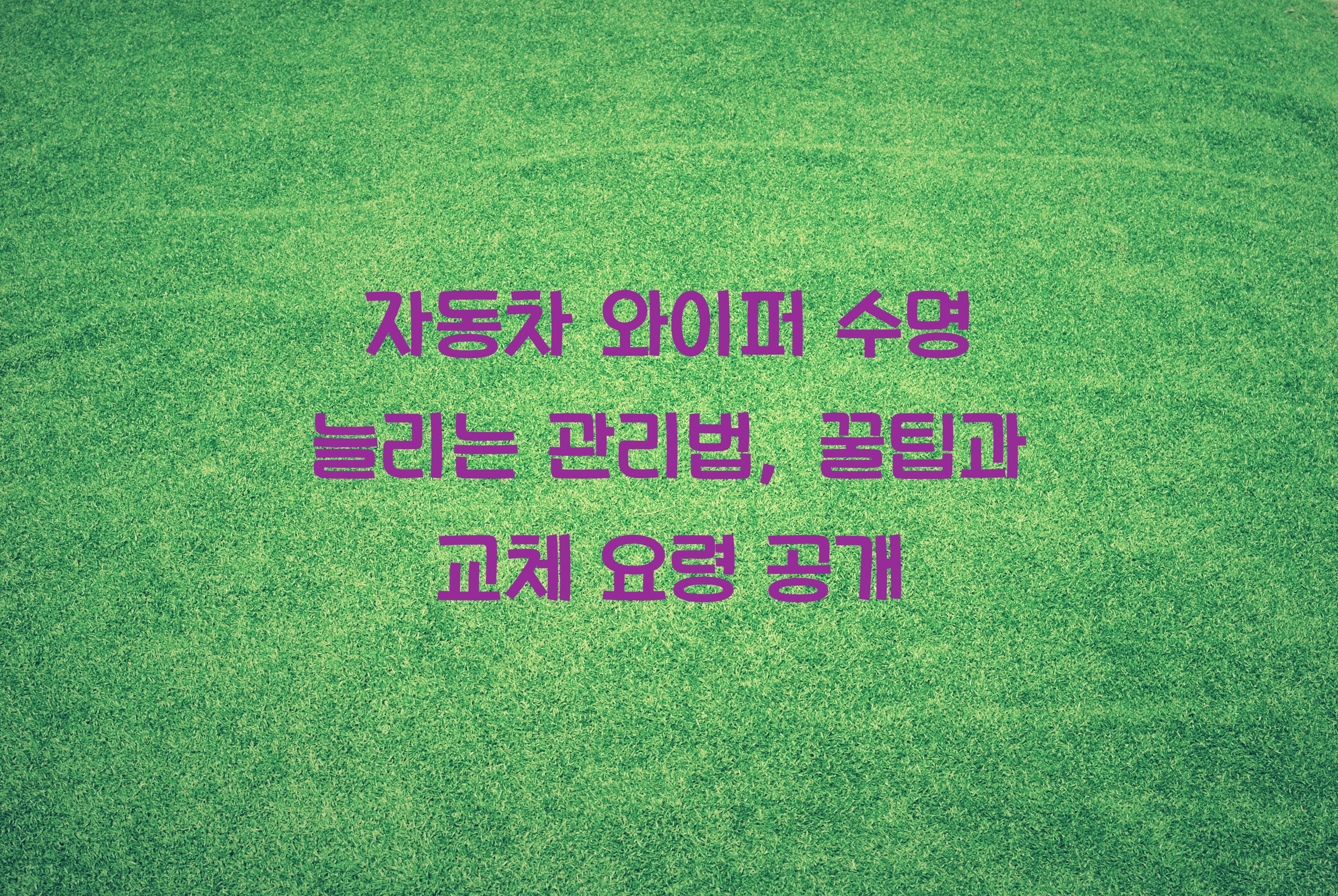 자동차 와이퍼 수명 늘리는 관리법