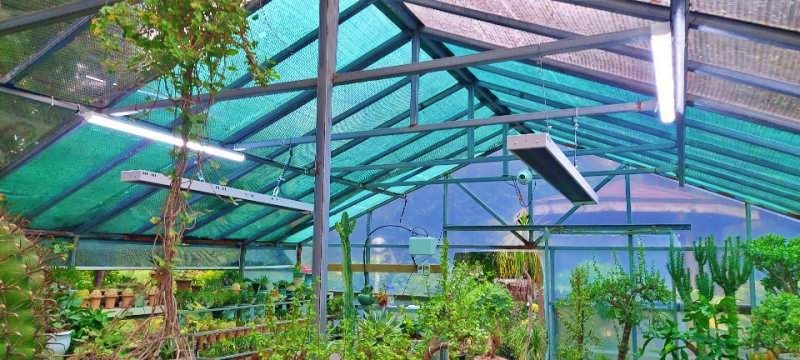 비닐하우스 난방