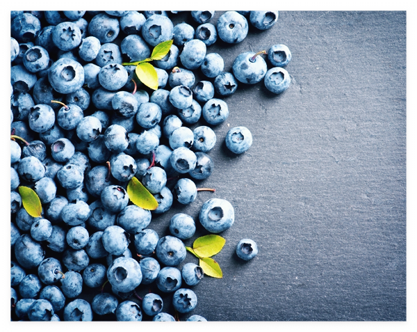 블루베리-효능-효소