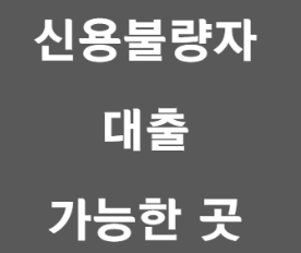 신용불량자 대출 바로가기