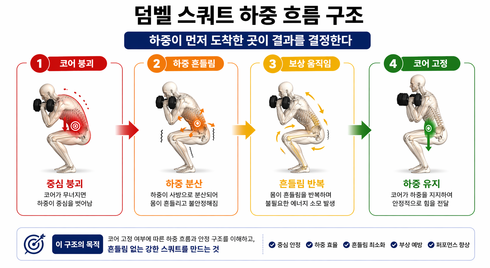 “덤벨 스쿼트 하중 흐름 구조”