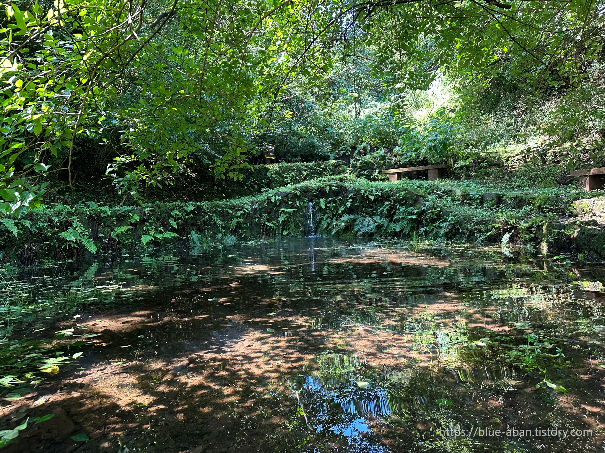 우진제비 오름 샘물
