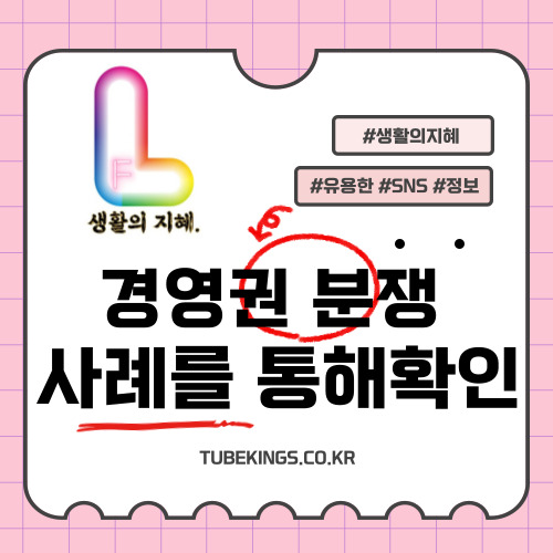 고려아연 경영권 분쟁과 영풍그룹 및 사모펀드