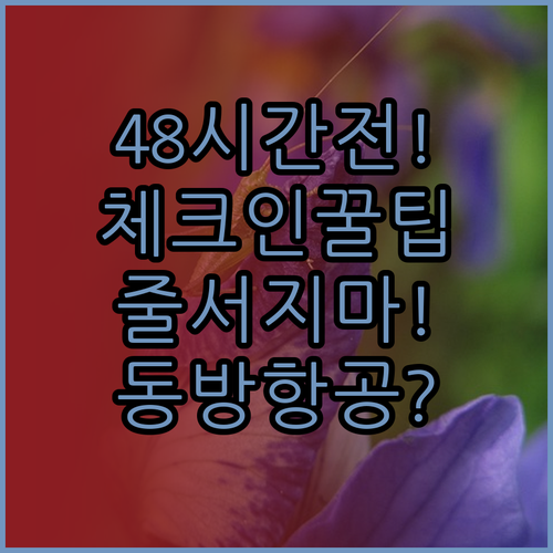 중국동방항공 출발 48시간 전 체크인..