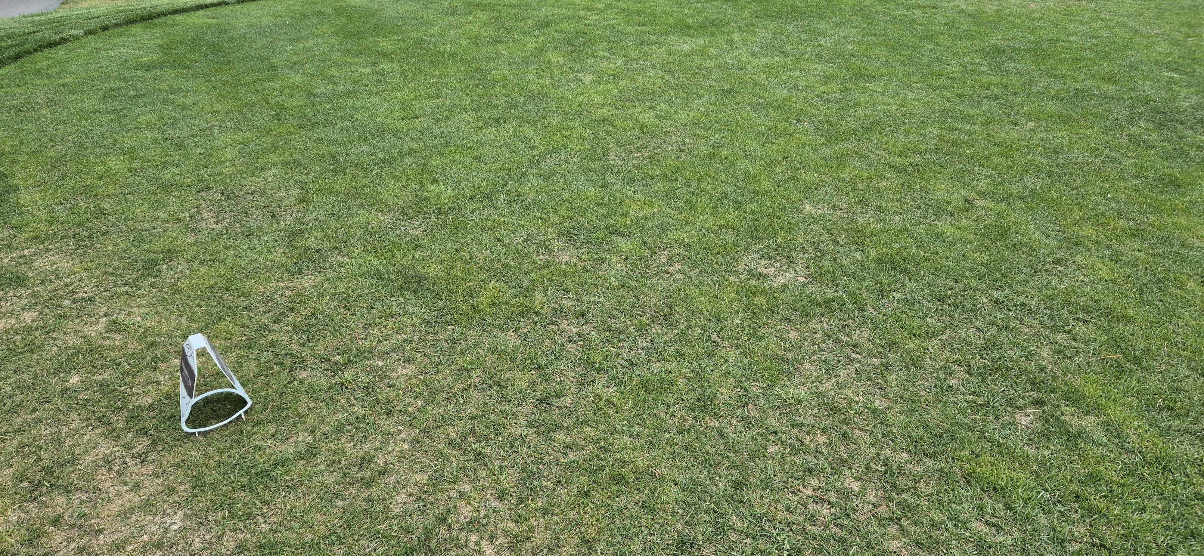 소노팰리체cc이스트