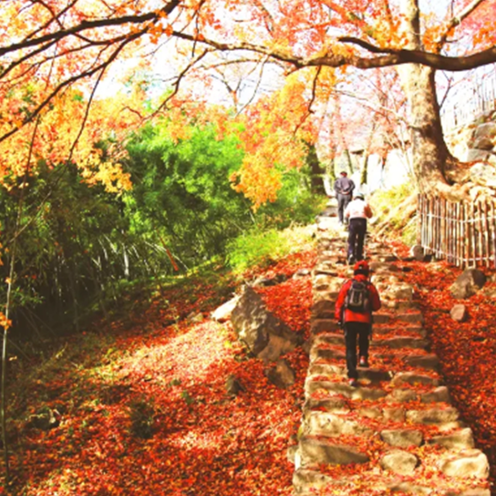 모악산 도립공원