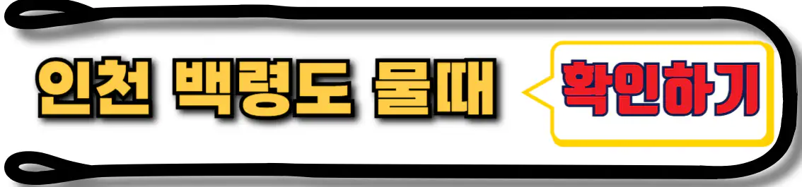 백령도 물때