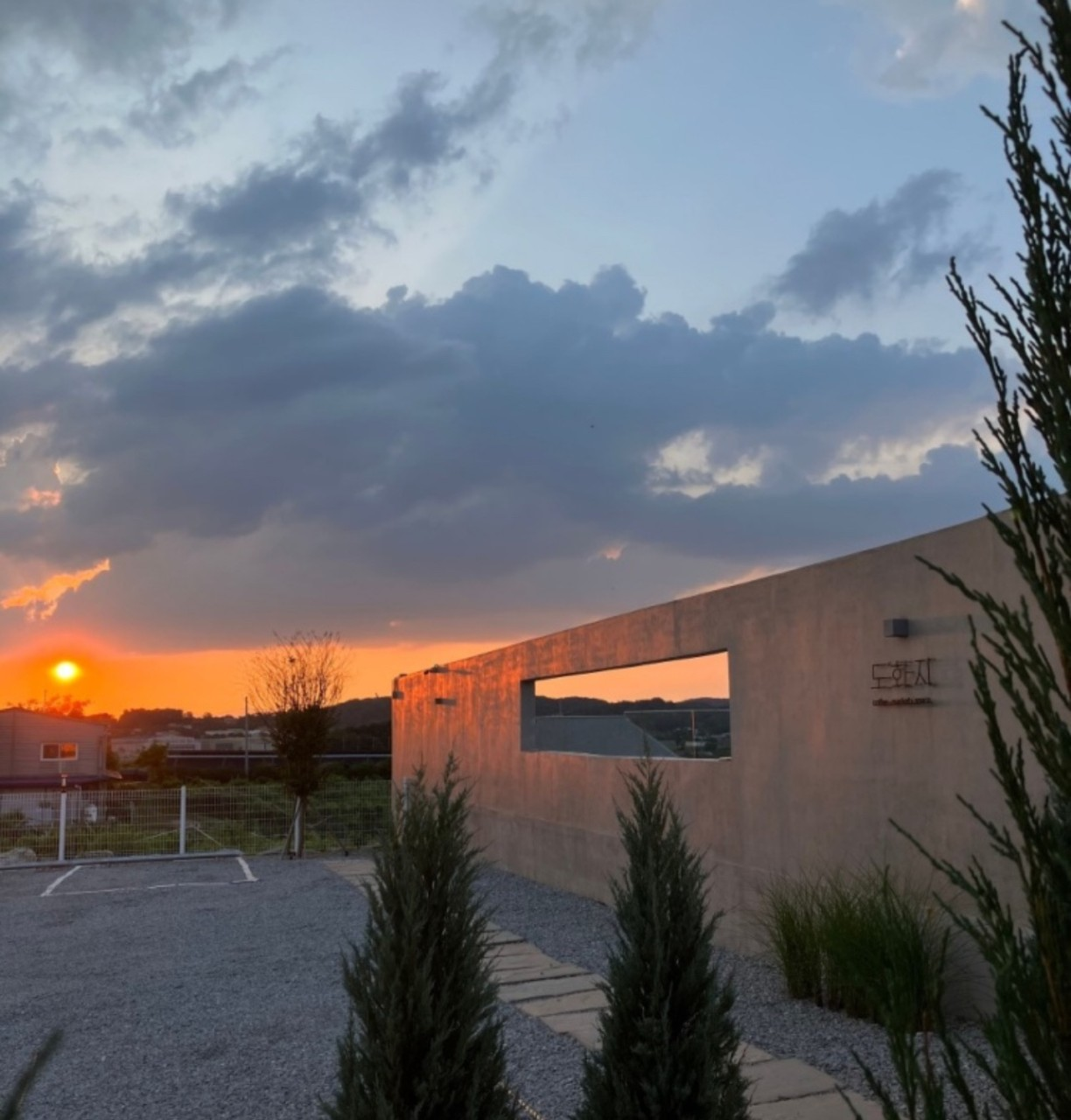 오늘N 이천 도화지카페 복숭아꽃 정원 카페 위치