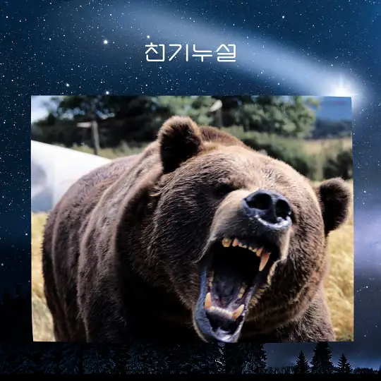 곰이 나오는 꿈 해몽