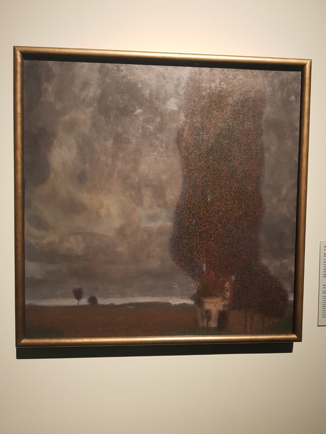 비엔나 분리파 008