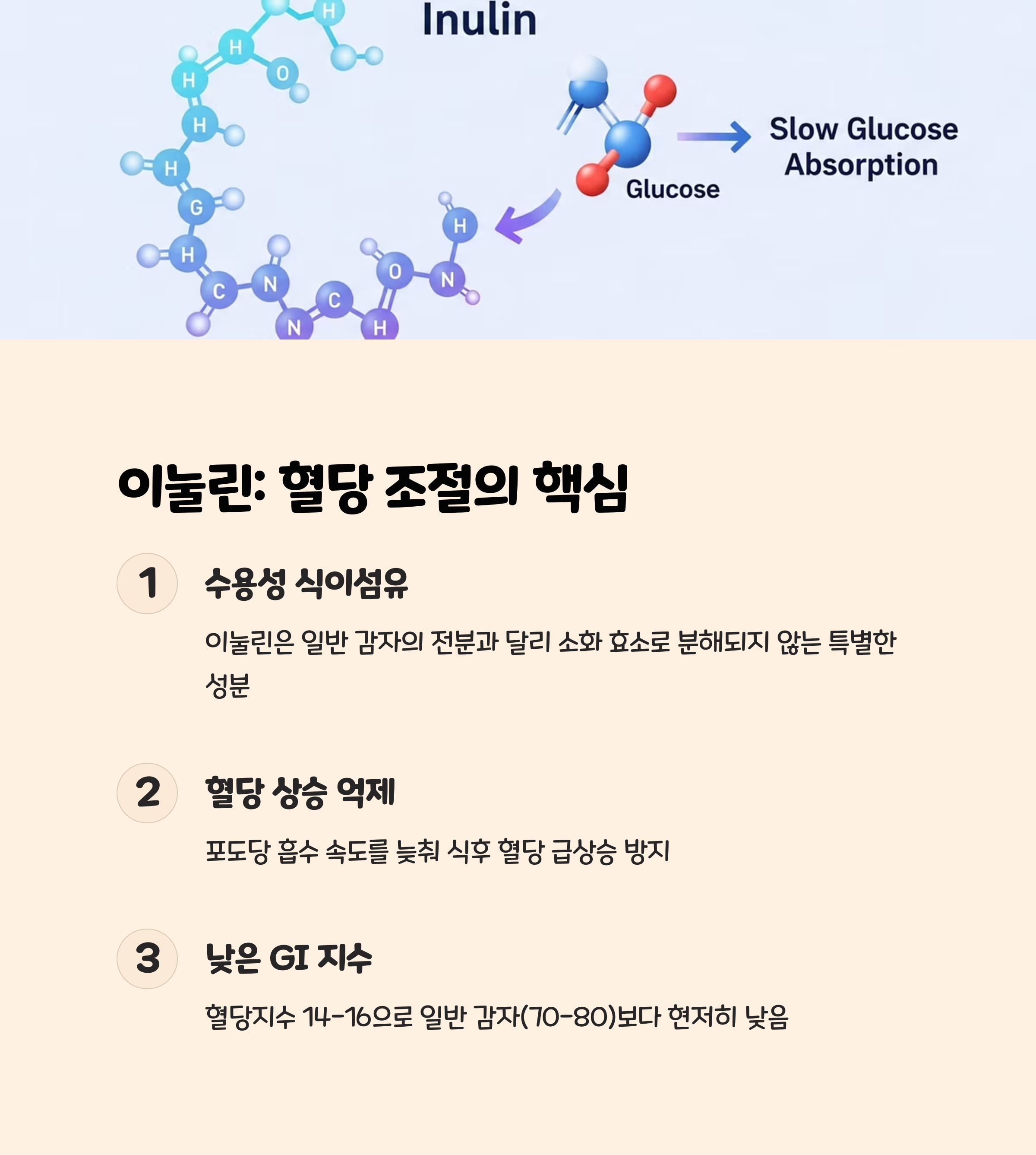 돼지감자의 핵심 성분과 혈당 조절 원리 🤔