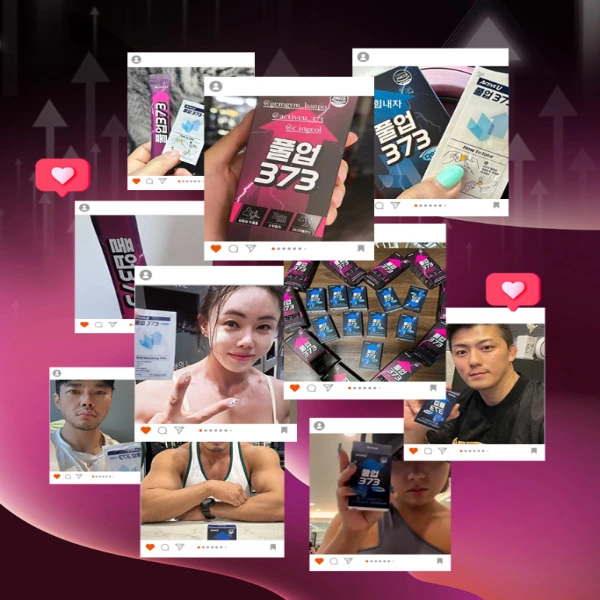 풀업 373