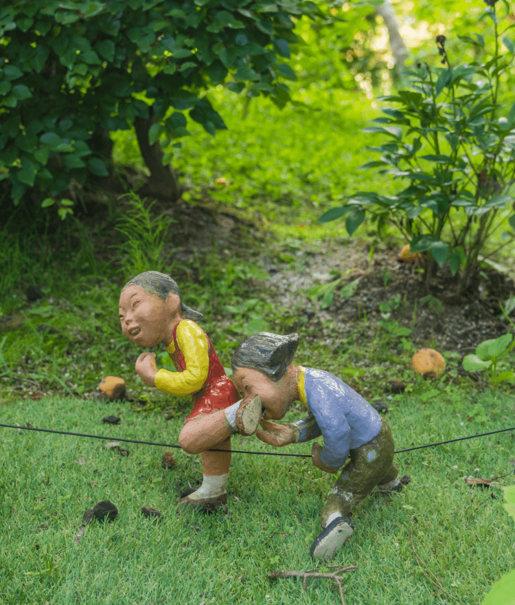 2025 화담숲 예약방법 총정리! 입장료&amp;#44; 모노레일&amp;#44; 교통&middot;주차&amp;#44; 할인 혜택