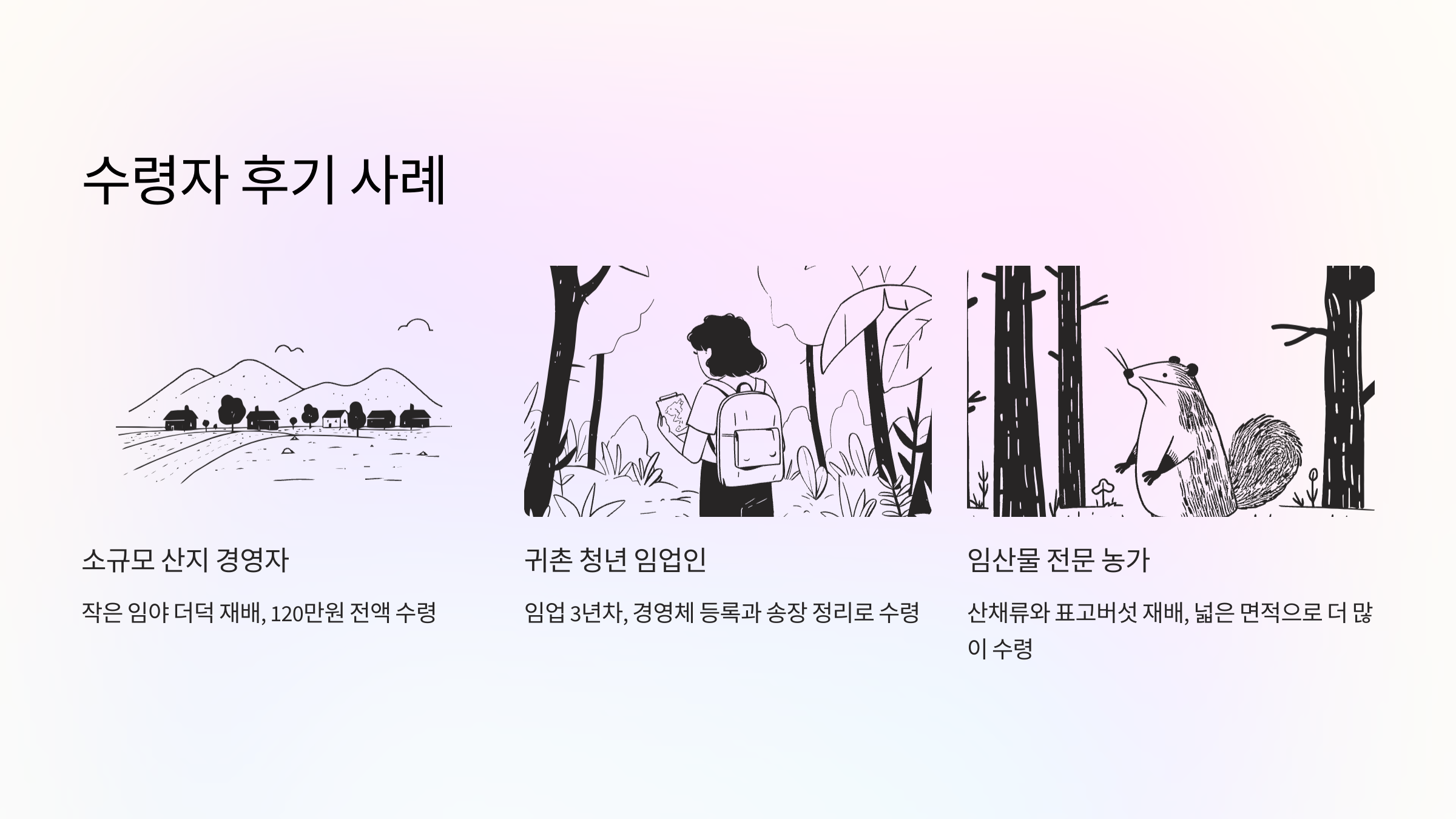 실수 없이 신청해서 받은 생생한 현장 이야기