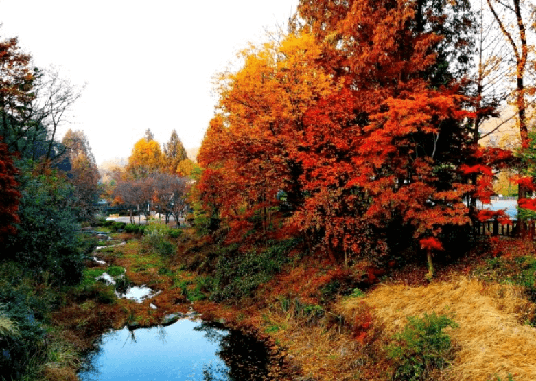 서울대공원