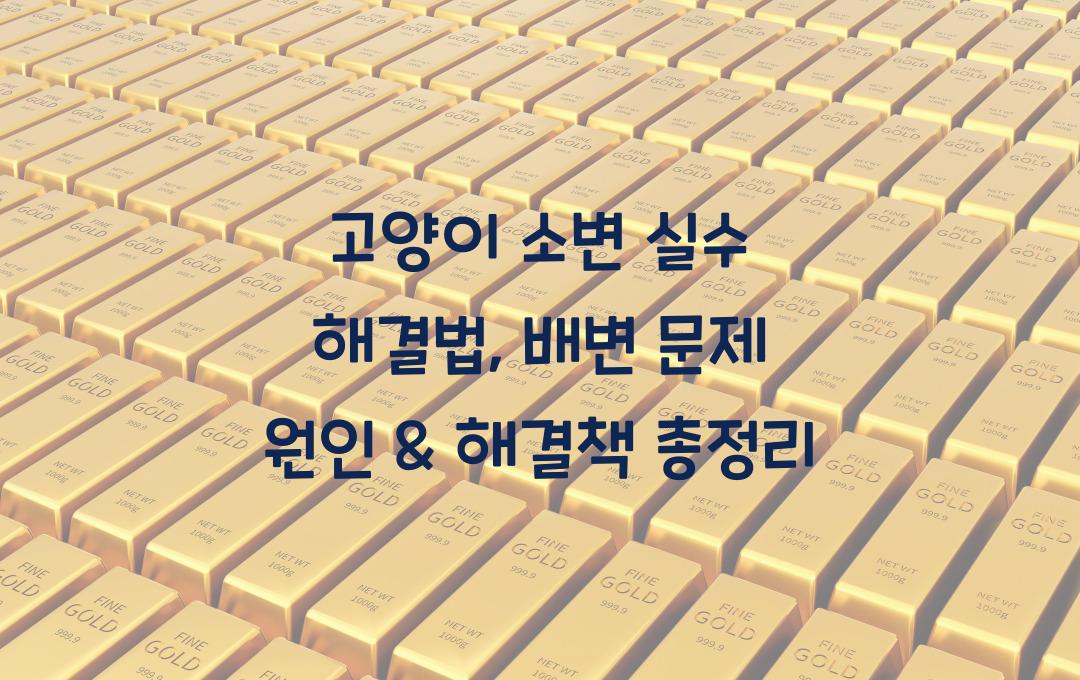 고양이 소변 실수 해결법, 배변 문제 원인 & 해결책