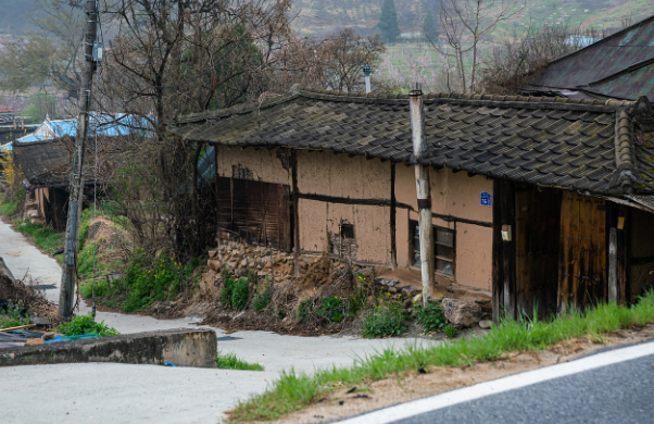 설날 새배돈 적정 금액