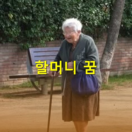 백발의-할머니가-공원에서-지팡이를-짚고-걸어가는-모습