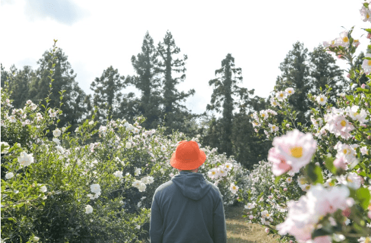 겨울 여행지 추천