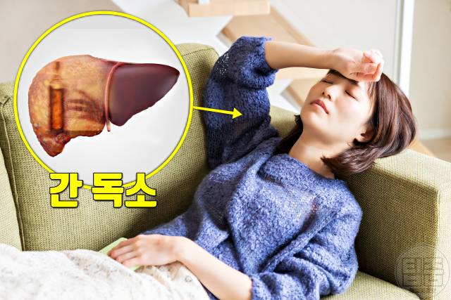 몸속 독소 배출 몸독소증상 피곤