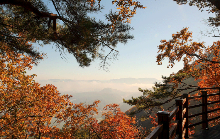 삼악산 케이블카 산책길