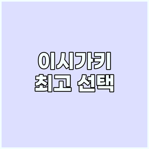 이시가키 클럽메드 카비라: 진에어 직..